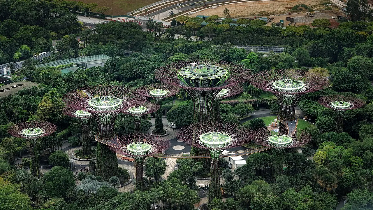 Supertree Grove from the observation platform on top of the Marina Bay Sands hotel.