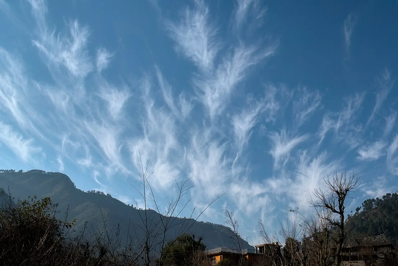 Cirrus uncinus clouds , also known as mares' tails, in the morning sky as seen from Nandli, near IIT Mandi , Himachal Pradesh, India, Jan 20