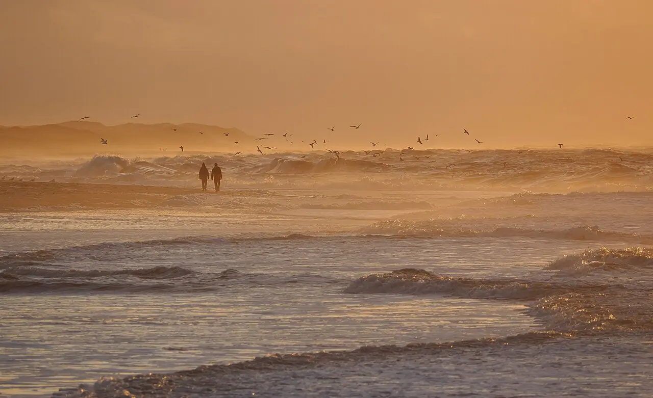 Coast of Nørre Vorupør , Denmark, at sunset