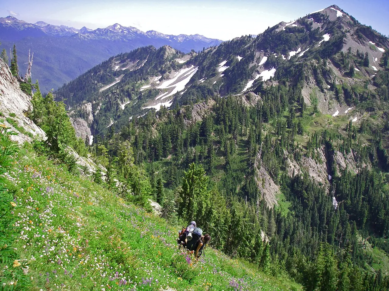 Hiker_mountain_backpacker_slope_flowers_scenic_BBaccus_NPS_photo